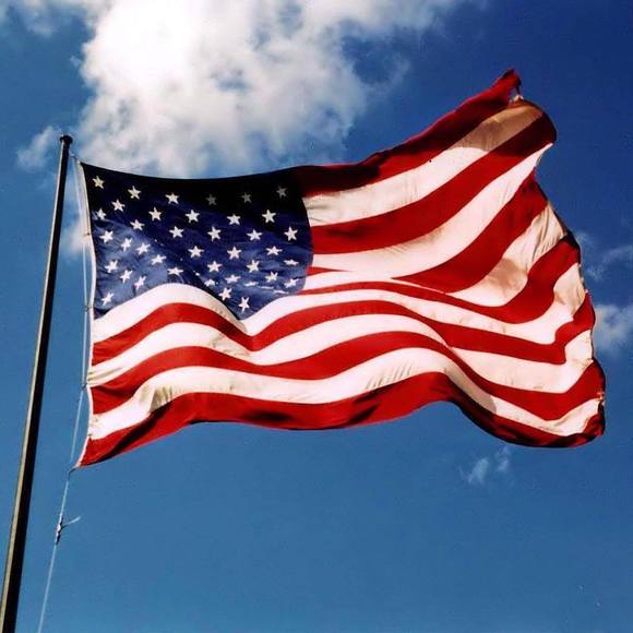 Meet your Posher, Patrick - Picture 1 of 1